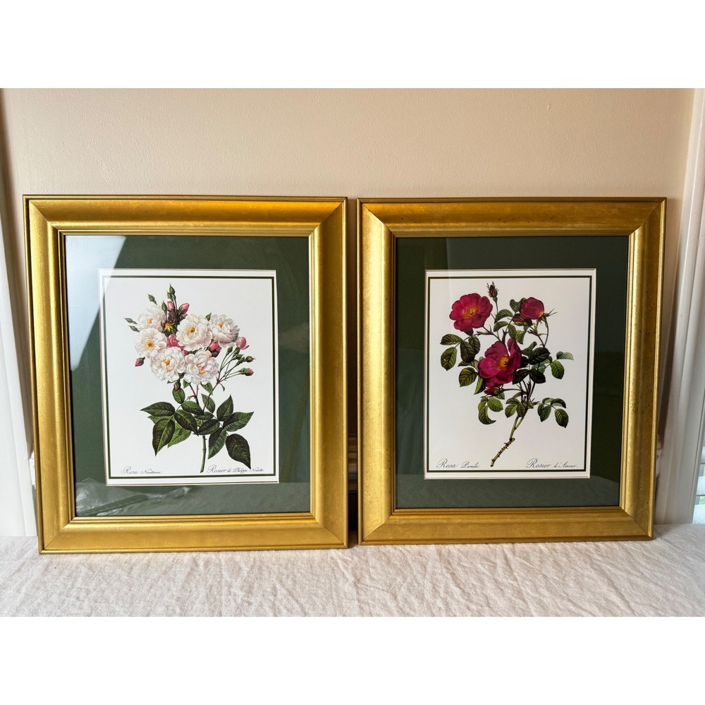Vintage Botanical Rose Prints Set 2 Gold Framed Floral Wall Art Cottagecore 80s